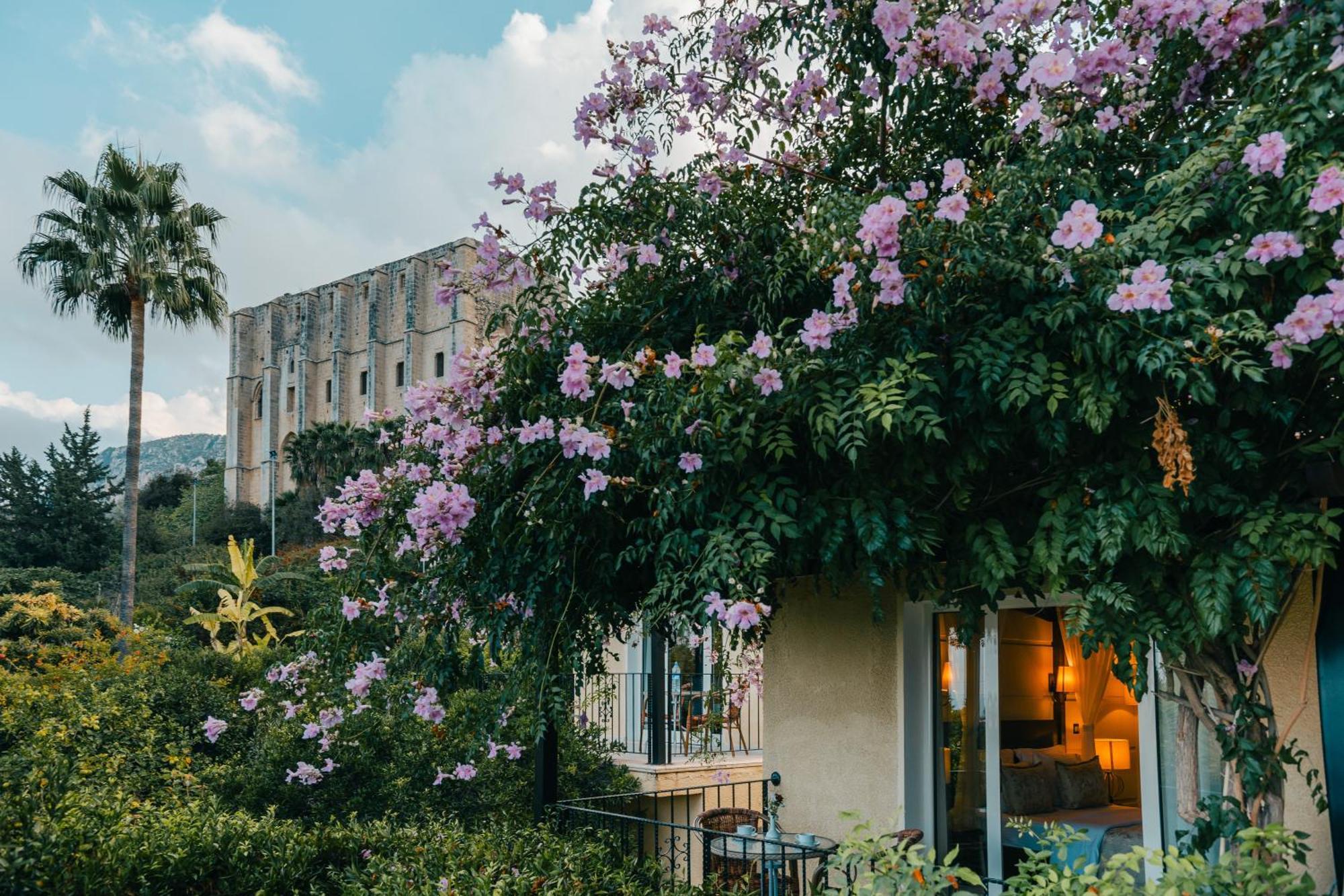 Bellapais Gardens Hostel ภายนอก รูปภาพ