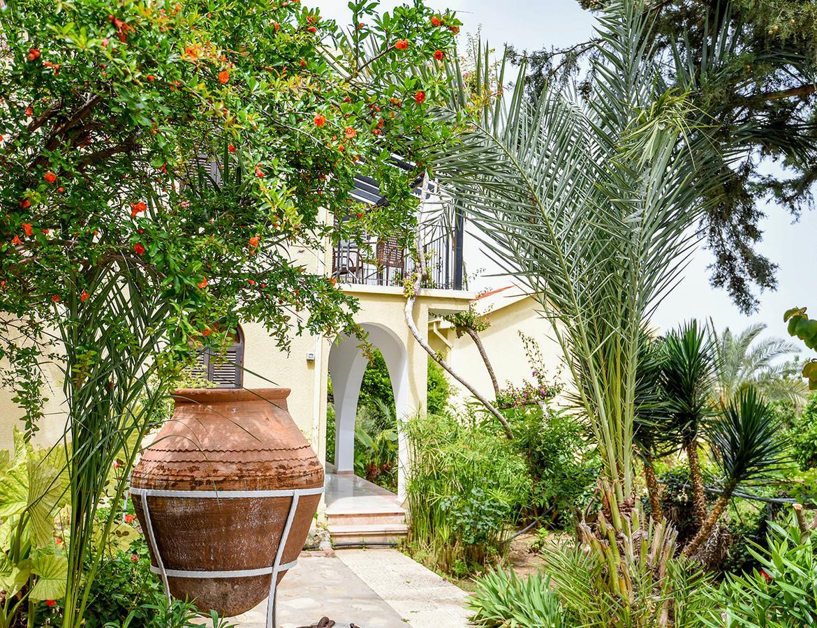 Bellapais Gardens Hostel ภายนอก รูปภาพ